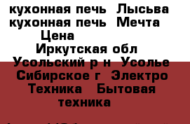 кухонная печь( Лысьва),кухонная печь (Мечта) › Цена ­ 6000-3000 - Иркутская обл., Усольский р-н, Усолье-Сибирское г. Электро-Техника » Бытовая техника   